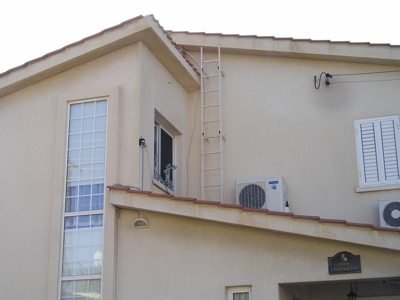 Roof Access Ladder